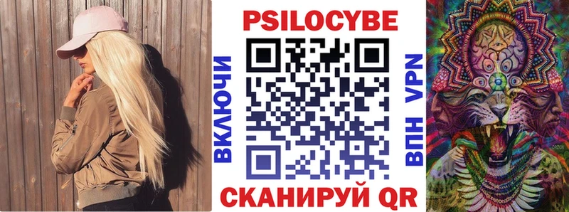 хочу Озёры Галлюциногенные грибы Psilocybine cubensis