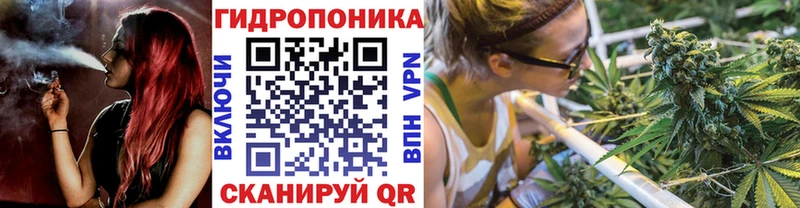где купить наркоту  Озёры  Конопля VHQ 